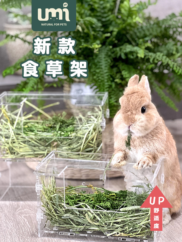 兔子草架亚克力大容量搭配厕所荷兰猪豚鼠牧草架宠物配套草架食盆,淘宝优惠券,粉丝福利购,淘宝优惠卷