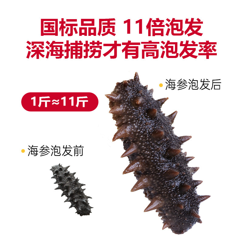  董二胖滋补养生干品/即食海参