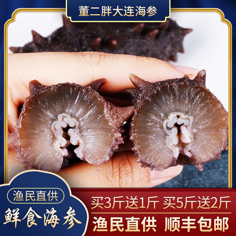 董二胖大连5000g高品质装鲜食海参 董二胖滋补养生干品/即食海参