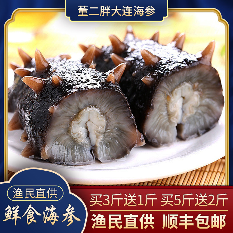 董二胖大连5000g高品质装鲜食海参 董二胖滋补养生干品/即食海参