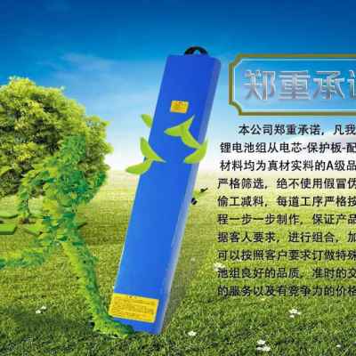 磷酸铁锂专用自行车轮椅户外设备改装电池12V24V36V48V大容量 - 图2