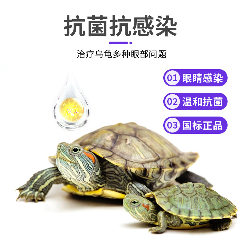 乌龟白眼病专用药急救眼药水乌龟红眼蒙眼发炎红肿抗菌新霉素滴眼,淘宝优惠券,粉丝福利购,淘宝优惠卷
