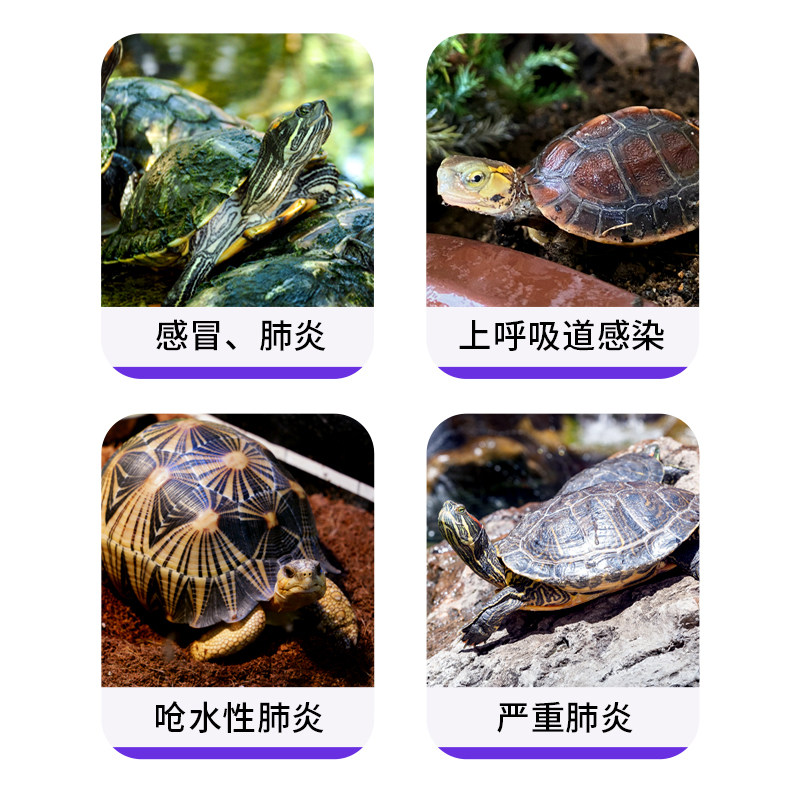 乌龟肺炎雾化药套餐乌龟感冒肺炎药巴西龟浮水张嘴叫喘呼吸道感染,淘宝优惠券,粉丝福利购,淘宝优惠卷