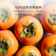 Fractions of Taiqiu Crispy Dried Persimmons Original Dried Persimmons