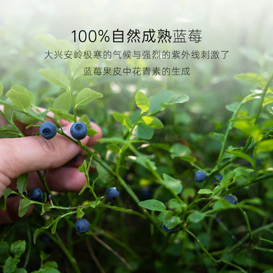 A few parts of Nordic blueberries without addition