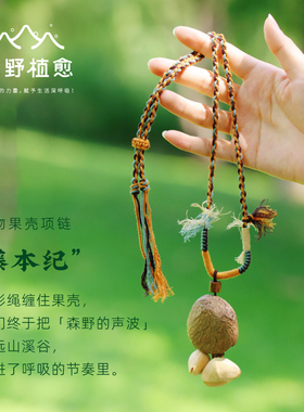 新品/森野 手工果壳项链 天然植物果壳摇铃波西米亚风铃小众配饰