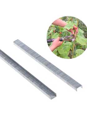 10000Pcs Tape Tool Nail Staples Plier for Tapetool Grape Tom