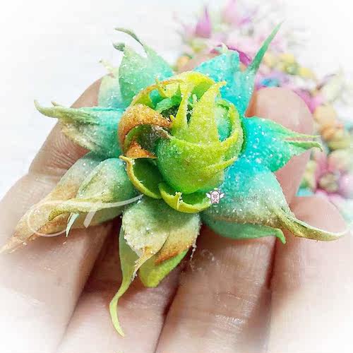 Piggy Craft metal cutting dies cut die mold Various flower s - 图2