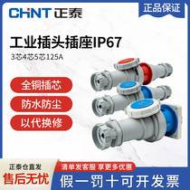 Zhengtai Aviation Plug 125A Industrial socket 3 Core 4 Core 5 Core Male Butt IP67 waterproof connector 380V
