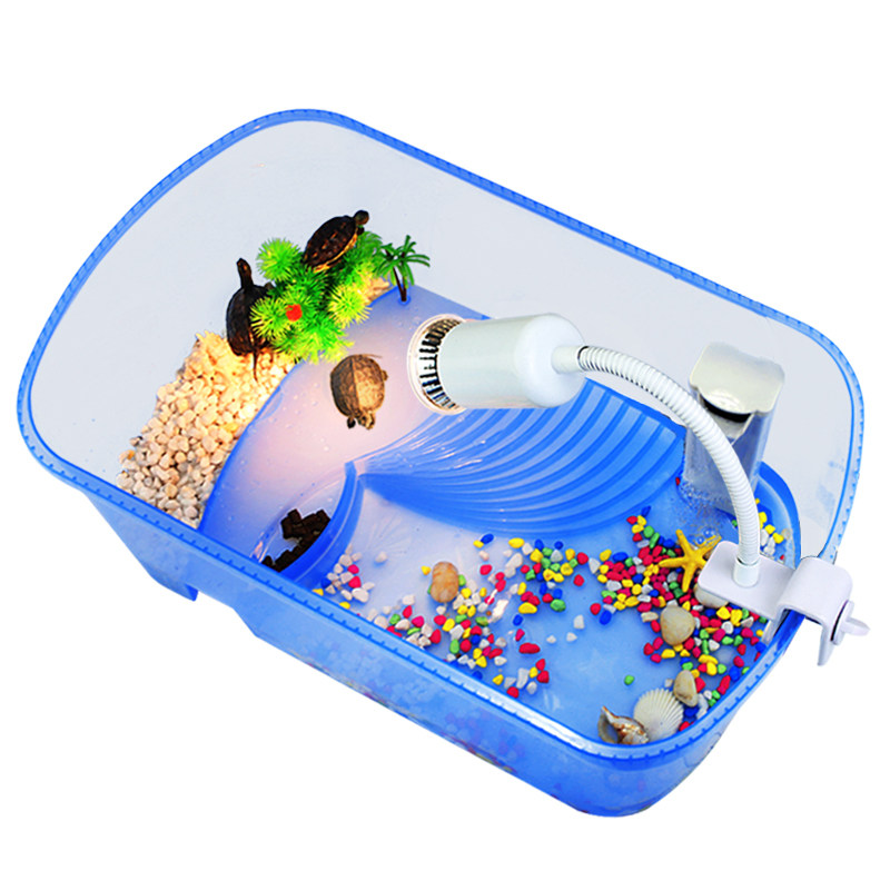 送2只小乌龟巴西龟带缸龟缸活物活体乌龟缸带晒台龟盆宠物龟草龟,淘宝优惠券,粉丝福利购,淘宝优惠卷