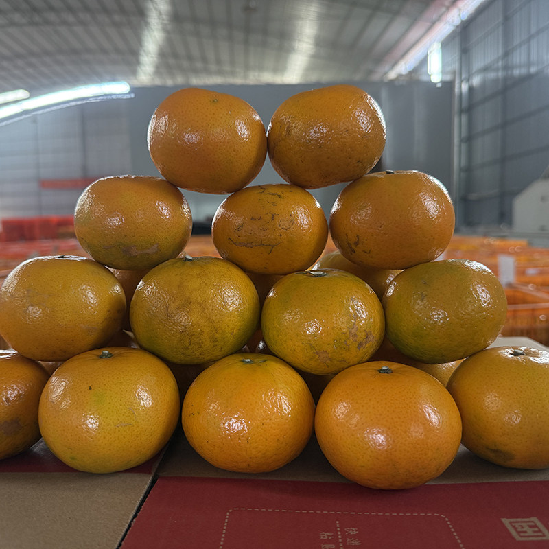 【芭芭农场兑换】沃柑3斤单果60-65mm 酸甜可口 花皮为正常,淘宝优惠券,粉丝福利购,淘宝优惠卷