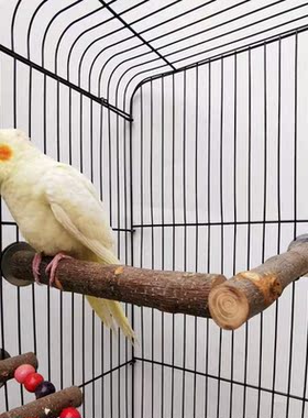 Natural Wood Perch Parrot Bird Nail Grooming Standing Bar