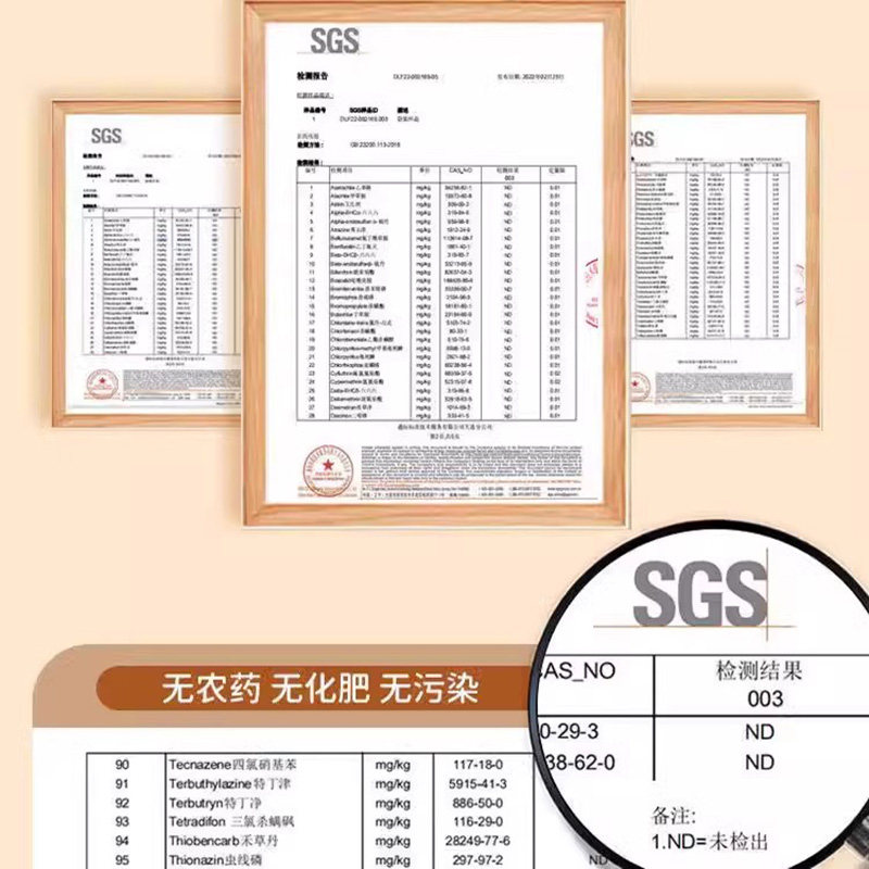 碱不落 东北小米2.5kg 优质新米食用杂粮粥 农家五谷