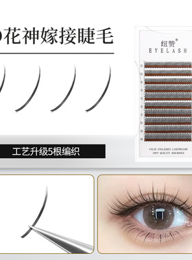 5d花神不散根漫画仙女款CD翘睫毛