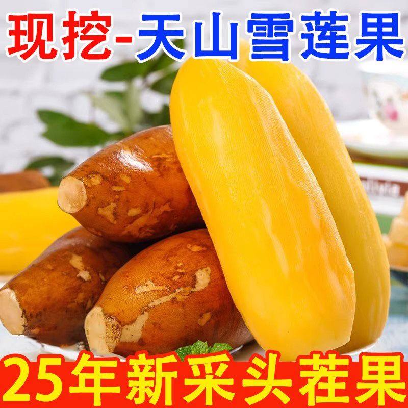 现货!云南天山雪莲果新鲜水果当季应季黄心特级9斤装孕妇大果红泥,淘宝优惠券,粉丝福利购,淘宝优惠卷