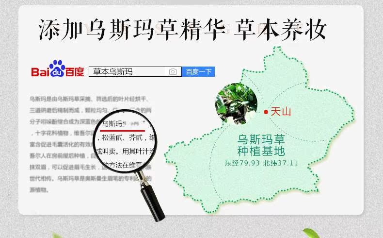 新疆乌斯曼草液乌斯玛草汁生髪液睫毛发际线发缝奥斯曼生眉增长液 - 图2