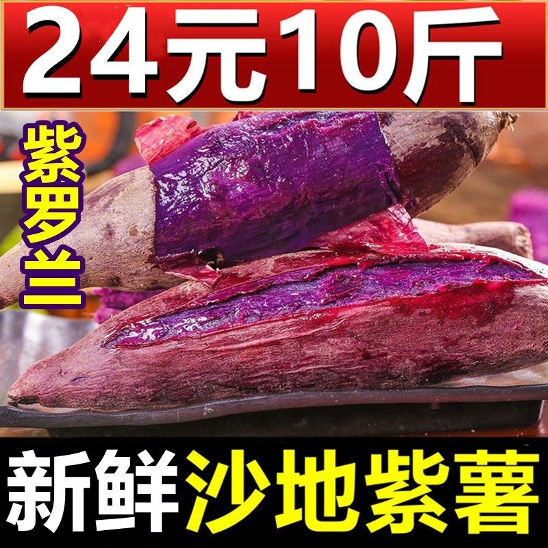 特级沙地紫薯10斤新鲜糖心蜜薯板栗 黄六爷生鲜番薯