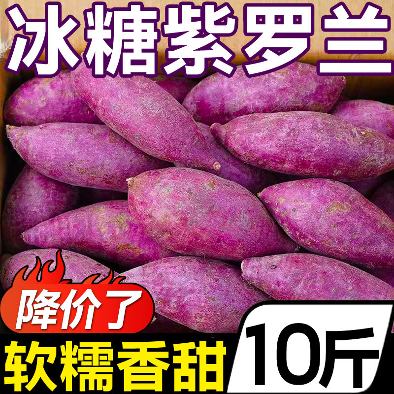 特级沙地紫薯10斤新鲜糖心蜜薯板栗 黄六爷生鲜番薯