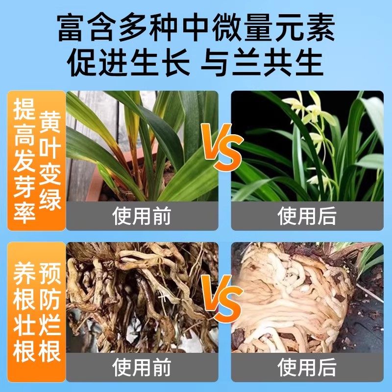 兰花多箭素爆芽素专用营养液蝴蝶兰多剑王兰灵王通用促开花肥料,淘宝优惠券,粉丝福利购,淘宝优惠卷