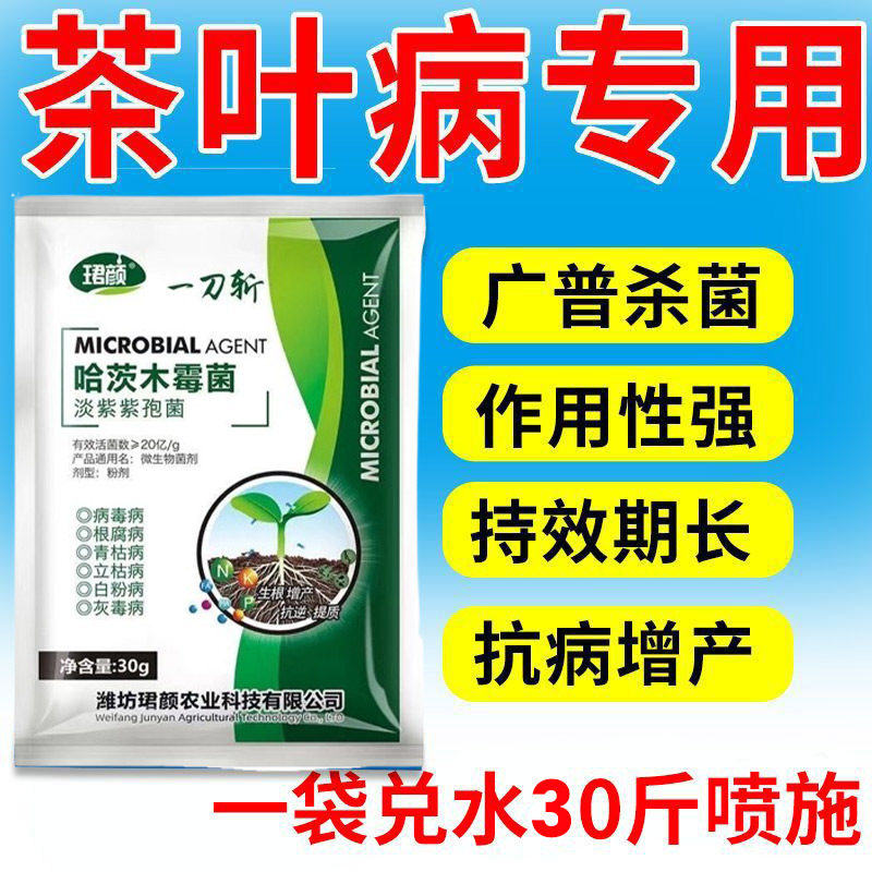 茶叶病全治茶树病专用药黄叶病枯萎病茶饼病芽枯病通用强效杀菌剂,淘宝优惠券,粉丝福利购,淘宝优惠卷