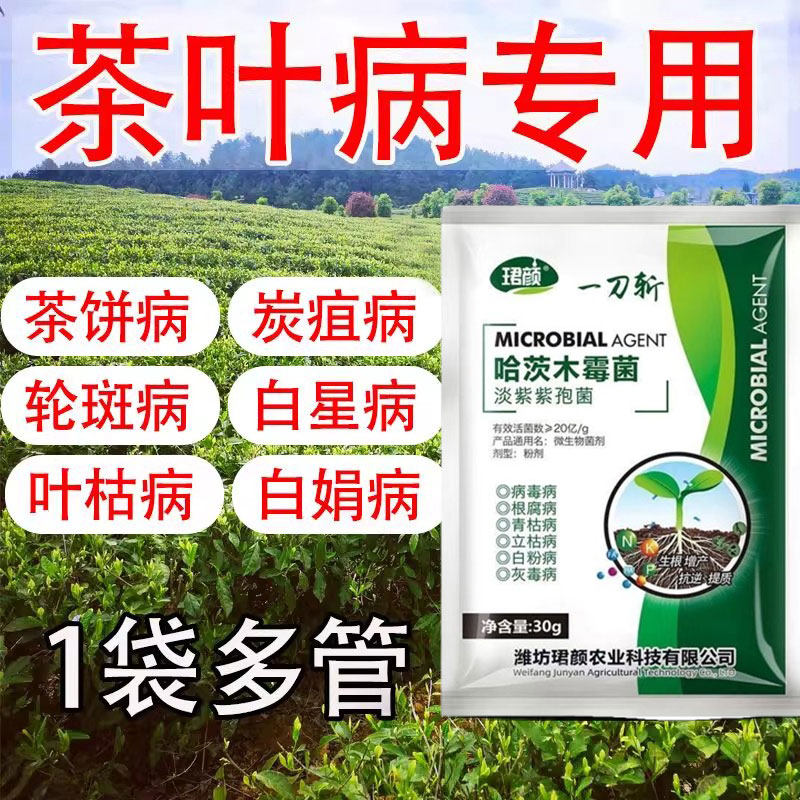 茶叶病全治茶树病专用药黄叶病枯萎病茶饼病芽枯病通用强效杀菌剂,淘宝优惠券,粉丝福利购,淘宝优惠卷
