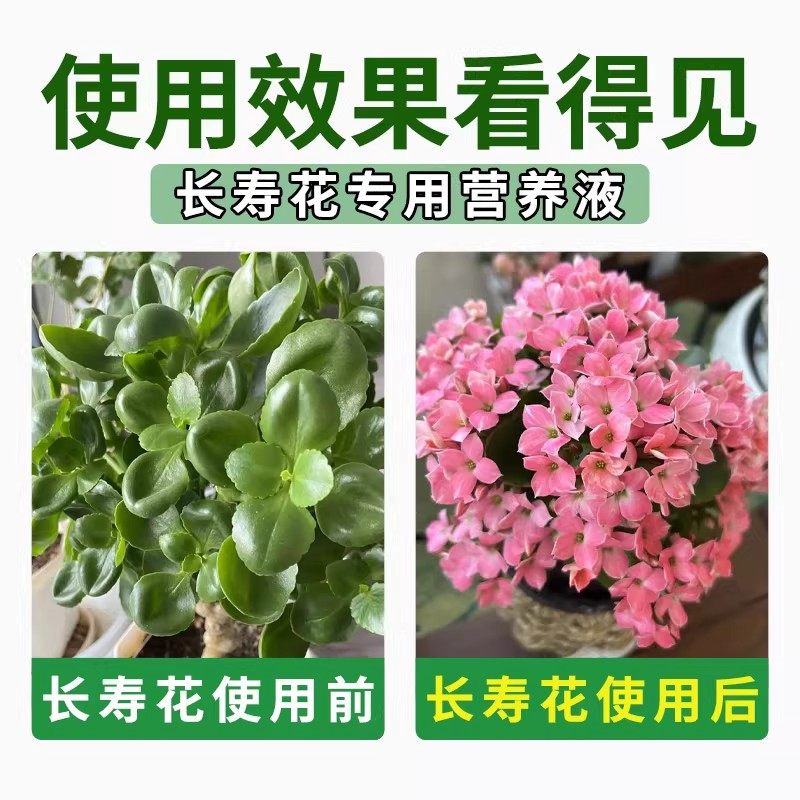 长寿花专用肥料不开花专用花肥阳台养花长寿花催花促花专用营养液,淘宝优惠券,粉丝福利购,淘宝优惠卷