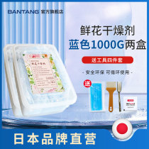 Japan) floral desiccant silica gel powder rose flowers Save the diy do photo frame Jiu Yongsheng Flower dried flowers 1277