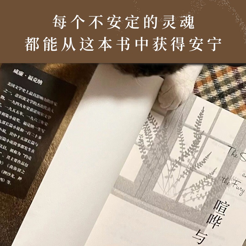 【央视网】喧哗与骚动 每个不安定的灵魂 都能从这本书中获得安宁 福克纳还是普利策小说奖 美国国家图书奖得主XF - 图3