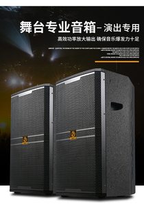 狮乐 BM-12 专业舞台会议音响KTV包房户外活动演出12寸音箱SHILE