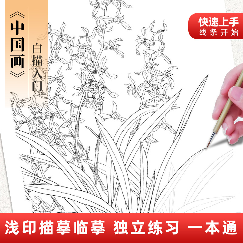 中国画白描入门描摹本国画工笔花卉人物美术套装画本工具描红书初学者画画临摹画册毛笔绘画练习教材 - 图1