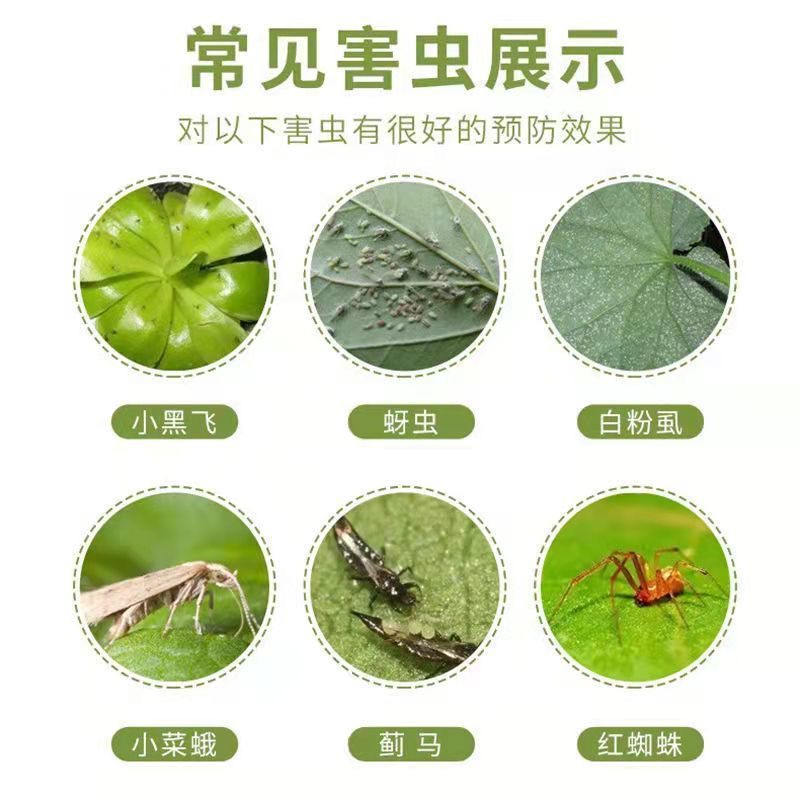 园艺防虫片糖化硼肥片防虫颗粒剂花卉绿植盆栽植物菜地除虫防烂根 - 图2