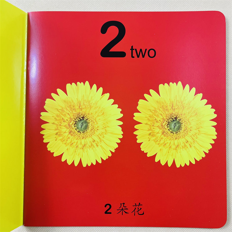 数字(1-100) 宝宝学前启蒙大全0-123-6岁幼儿认数正版一岁半两三岁婴幼儿.369趣味益智教具翻翻书籍认知绘本两岁儿童读物读本