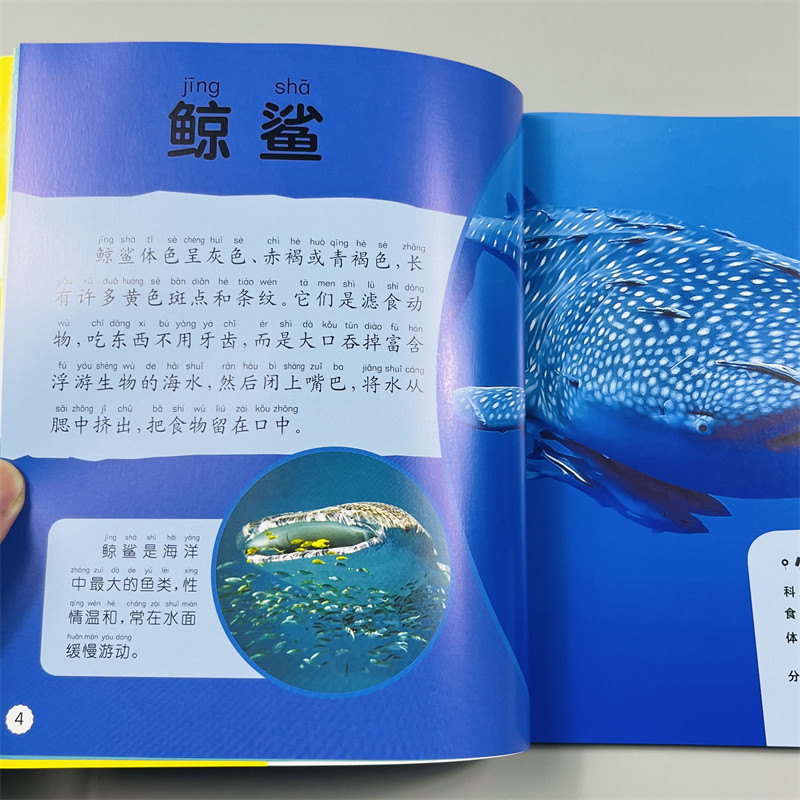 海洋野生动物百科2册注音一二三年级小学生语文课外阅读书籍6-7-8-9岁儿童课外读物带拼音儿童海洋科普知识故事书野生动物彩图版