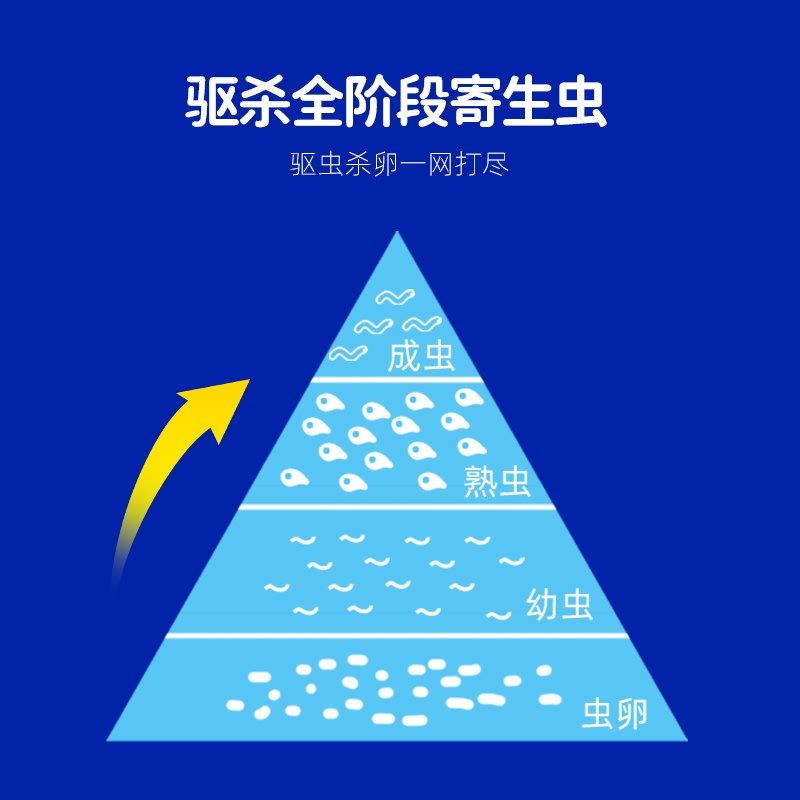 派迪诺宠物皮肤病喷剂猫藓狗癣外用药狗狗猫咪真菌专用药恩诺沙星-图2