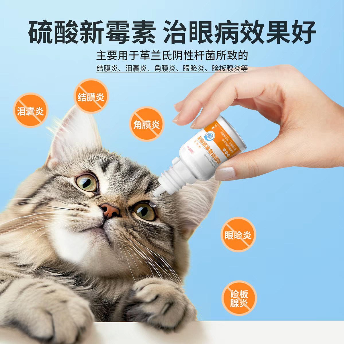 派迪诺硫酸新霉素滴眼液猫咪眼药水宠物狗狗眼睛发炎流泪消炎泪痕