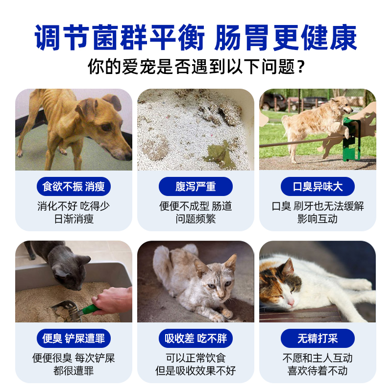 派迪诺猫用布拉迪益生菌猫咪调理肠胃狗狗小猫幼犬呕吐拉稀软便秘 - 图3