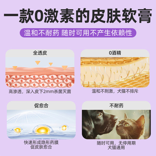 纪梵思猫藓外用狗癣皮肤病真菌皮炎复方酮康唑软膏宠物猫癣外用药 - 图1
