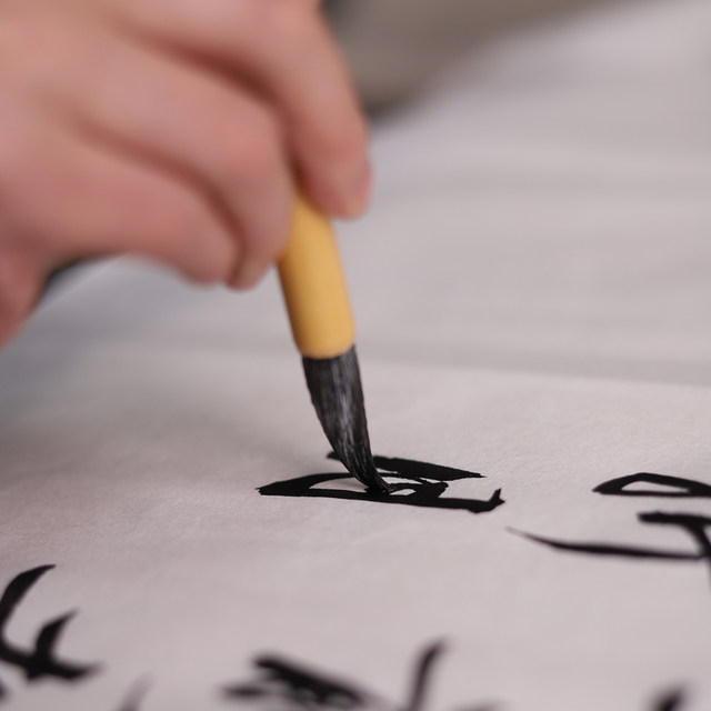 Guangzu Baiyun and Wolf Hair Sheep Hair Brush for Beginners