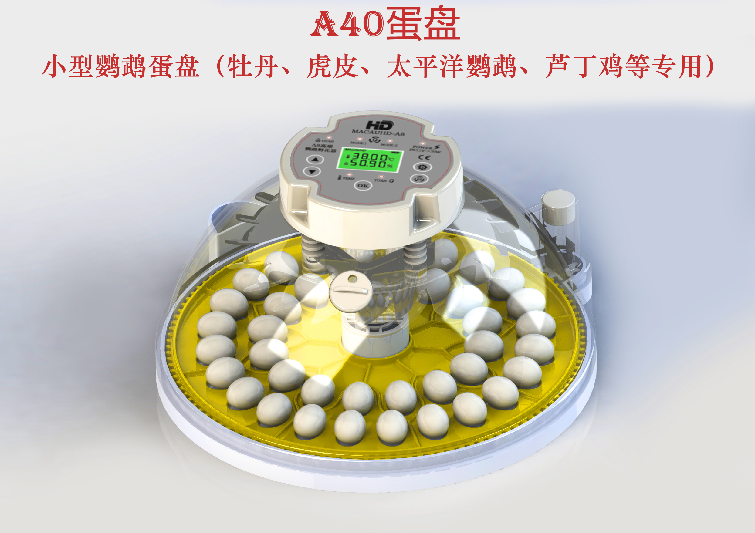 澳门A8全自动高精度孵化器家用小型鹦鹉丝雀鸟类蛋恒温育雏保温箱-图1