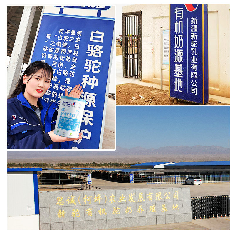 图 4