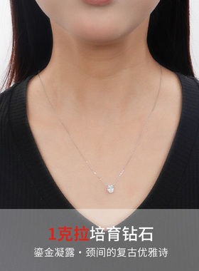 DEINO黛诺K铂金钻石项链女经典高级轻奢设计项链送女朋友礼物