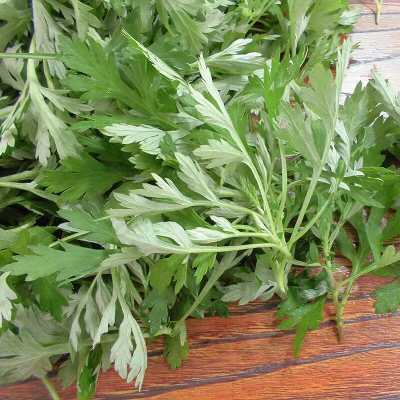 艾草新鲜食用清明草艾蒿当季蔬菜生艾草叶艾粄糍粑青团现摘嫩艾叶