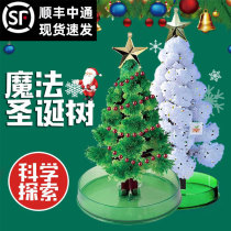 Paper Tree Blooming Christmas Tree Children Experiment Toys Magic Magic Watering Crystal Christmas Send Kids Little Gifts
