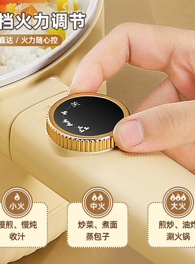 【小红书同款】电煮锅多功能火锅