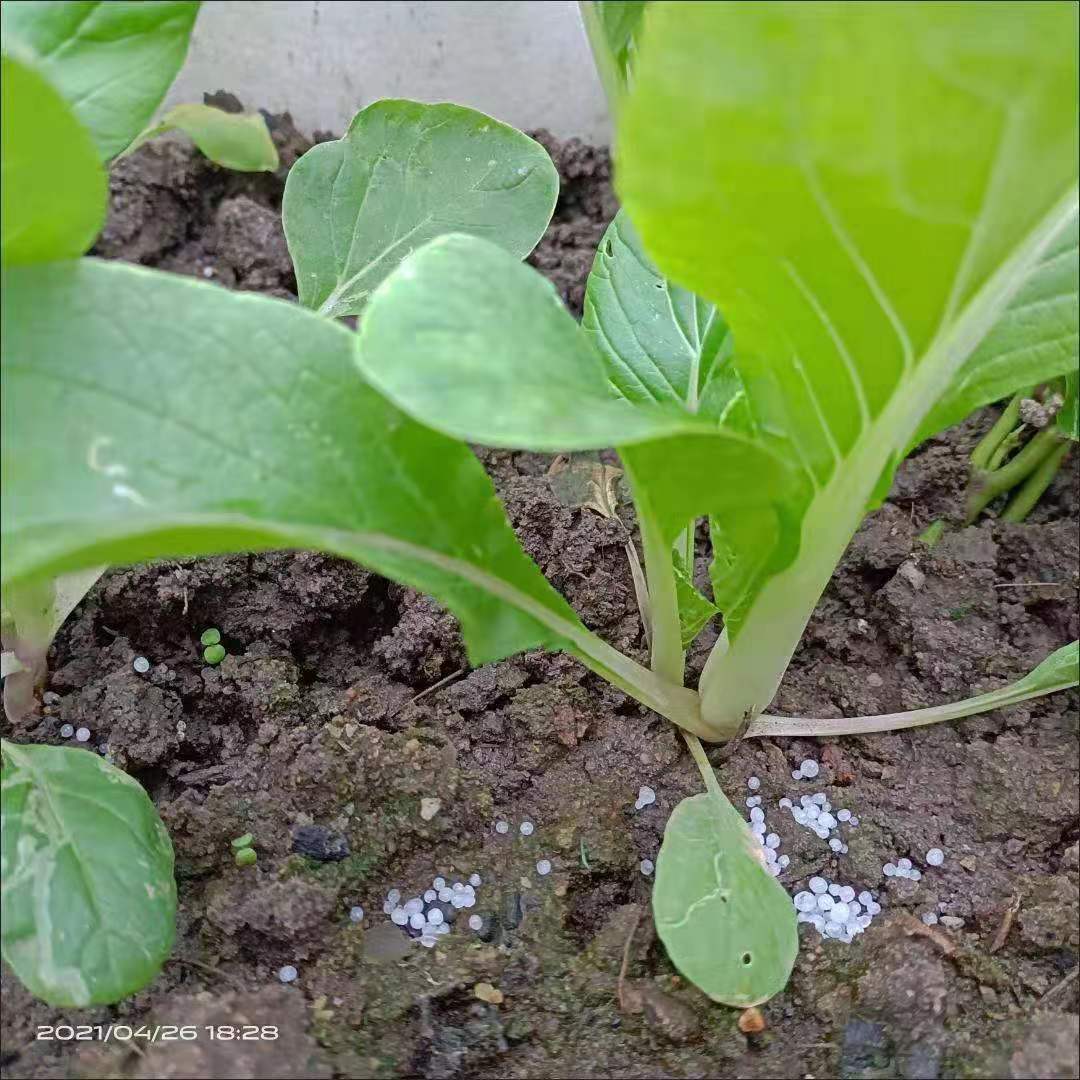 尿素肥料蔬菜有机肥氮肥花卉种菜肥果蔬肥料植物盆栽农用通用营养 - 图3