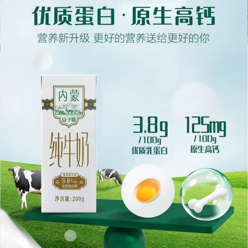 安子婿内蒙纯牛奶200g*10盒*4箱3.8g优质乳蛋白营养早餐儿童牛奶 - 图2