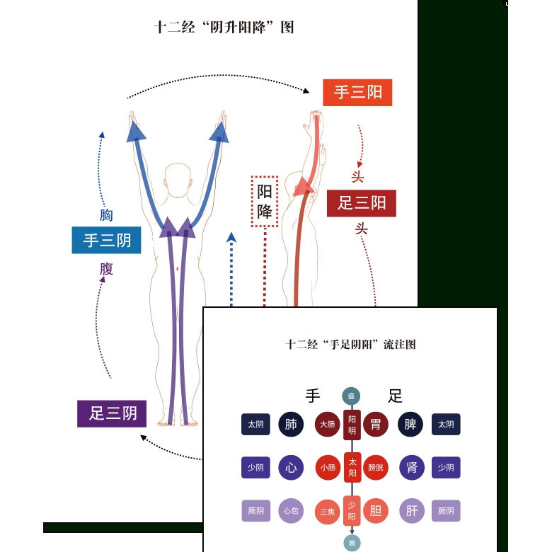 新书上架《黄帝内经》十二经络图谱（2025升级版），邓特伟医师编绘，线装书局 原创精绘200多幅高清经络图，360余腧穴，精准细致