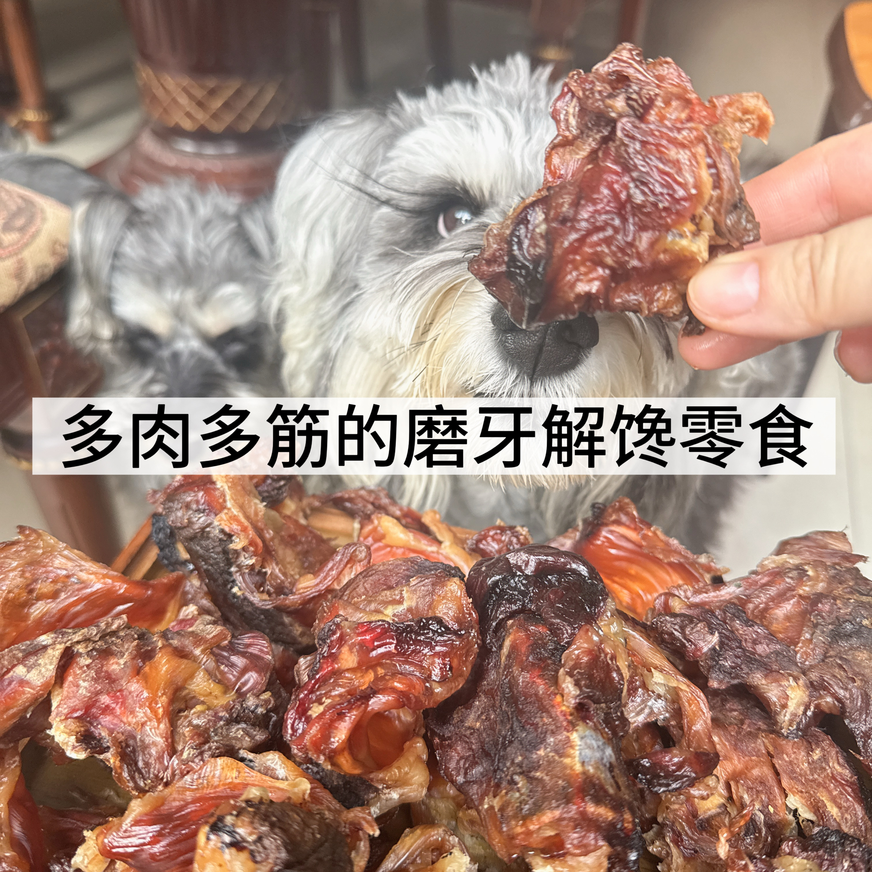 自制狗狗磨牙零食烘干鸵鸟膝盖骨窝骨多肉多筋磨牙解馋狗磨牙棒,淘宝优惠券,粉丝福利购,淘宝优惠卷