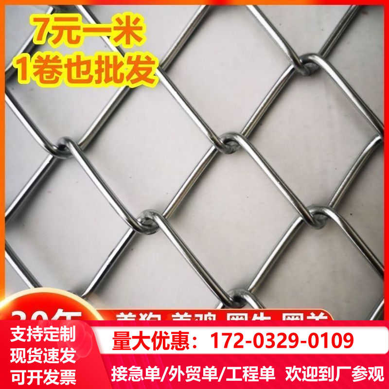 镀锌钢丝网防锈铁网格网养殖铁丝网加粗果园加厚围栏网菱形勾花网 - 图0