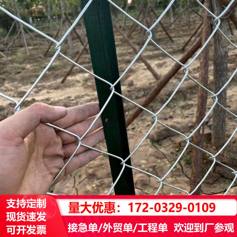 镀锌钢丝网防锈铁网格网养殖铁丝网加粗果园加厚围栏网菱形勾花网 - 图1